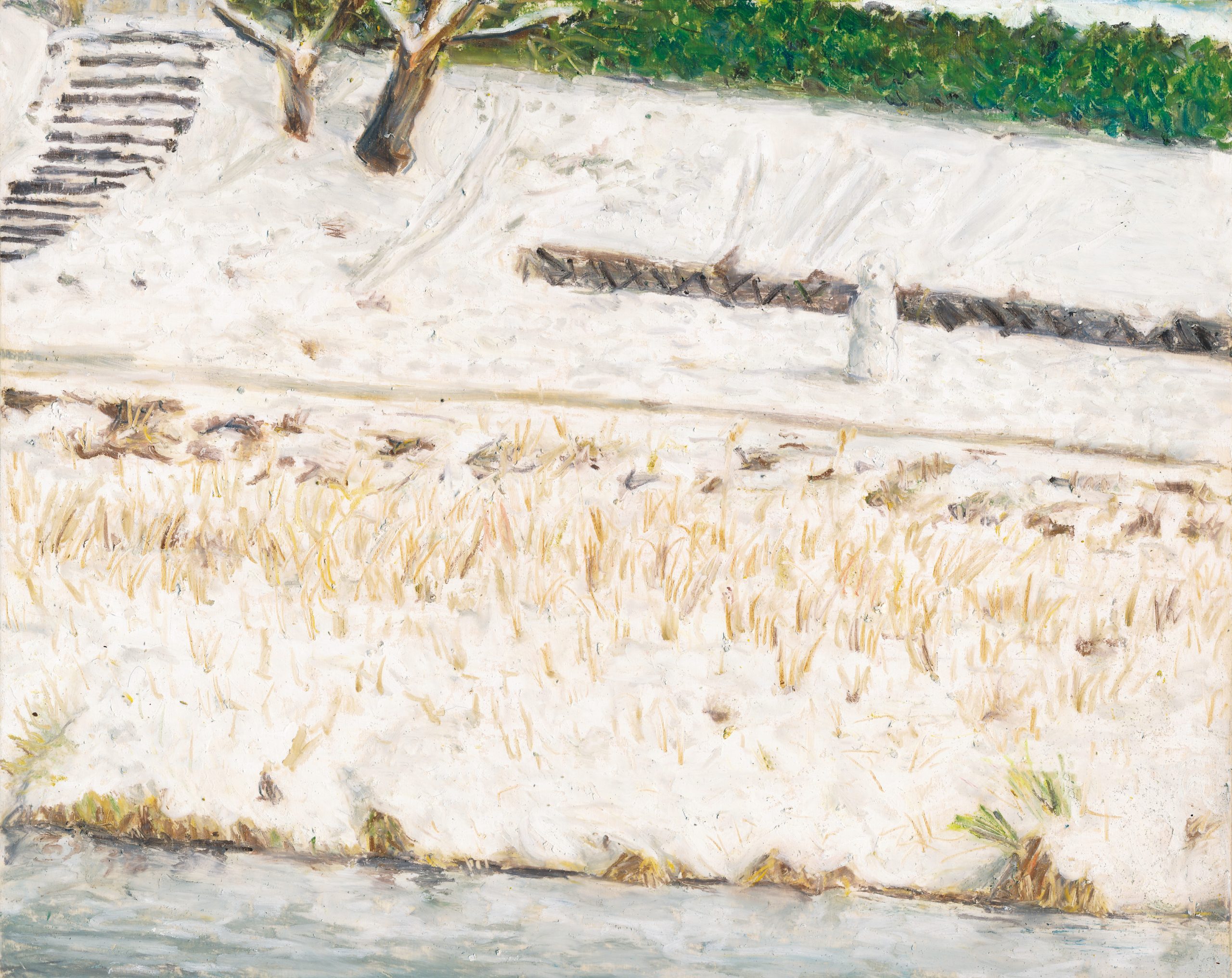 マメイケダ展　明るい陰影